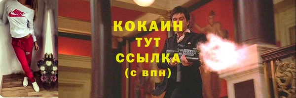 гашик Алзамай