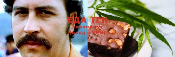 гашик Алзамай