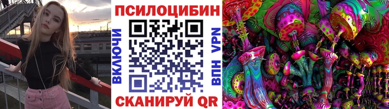 Псилоцибиновые грибы GOLDEN TEACHER  купить  сайты  Добрянка 
